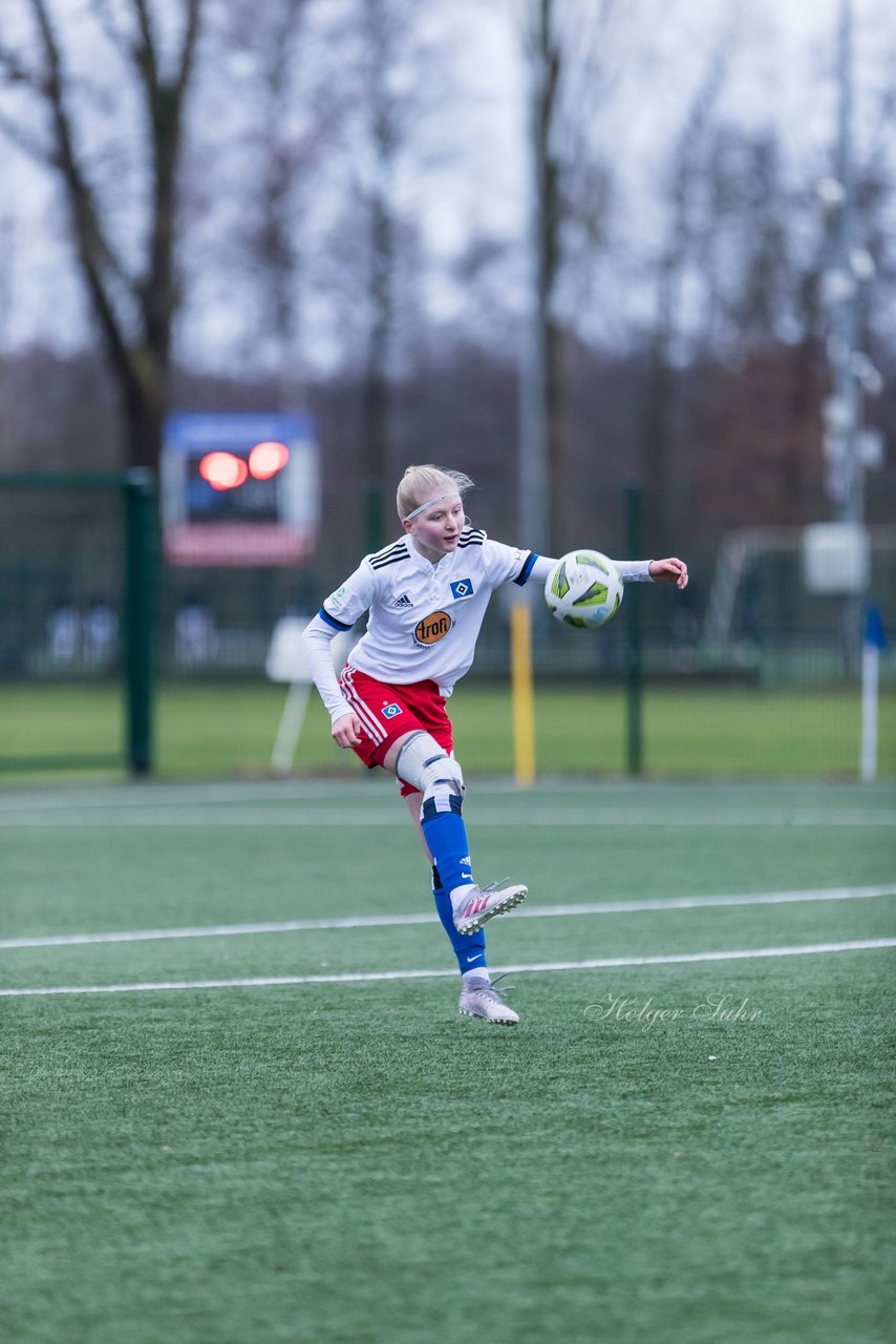 Bild 161 - wBJ HSV - F VfL Jesteburg : Ergebnis: 6:1